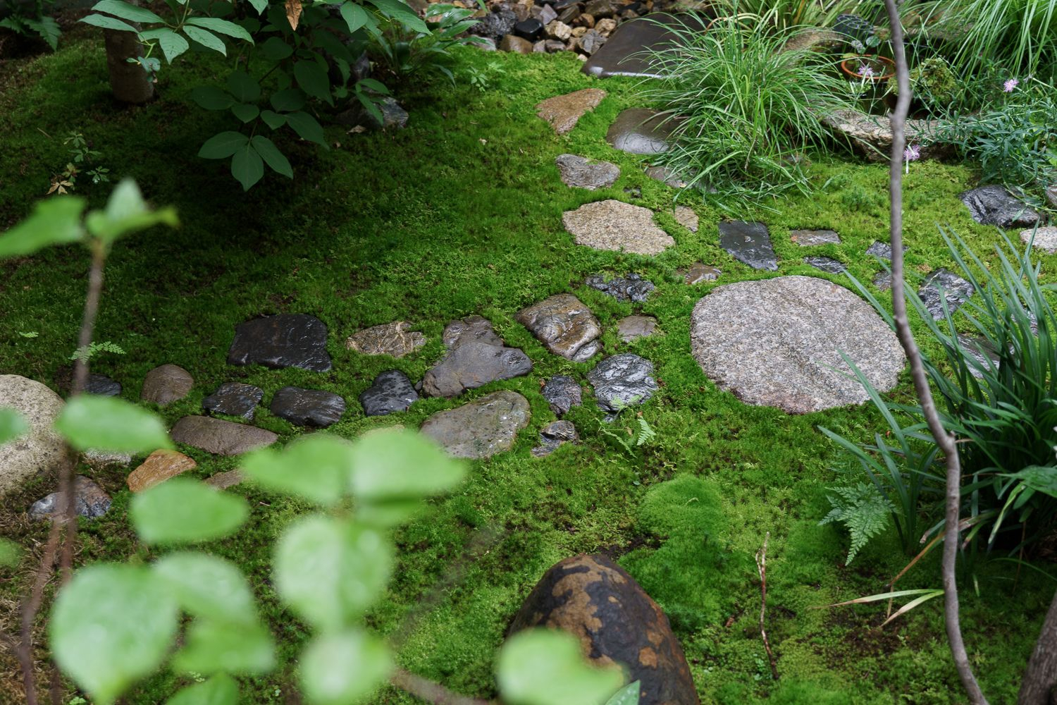 庭の石は元々この場所で使われていたものや、土中に埋まっていたものを活用している